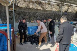 集中销毁